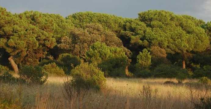 La Tenuta di Procoio